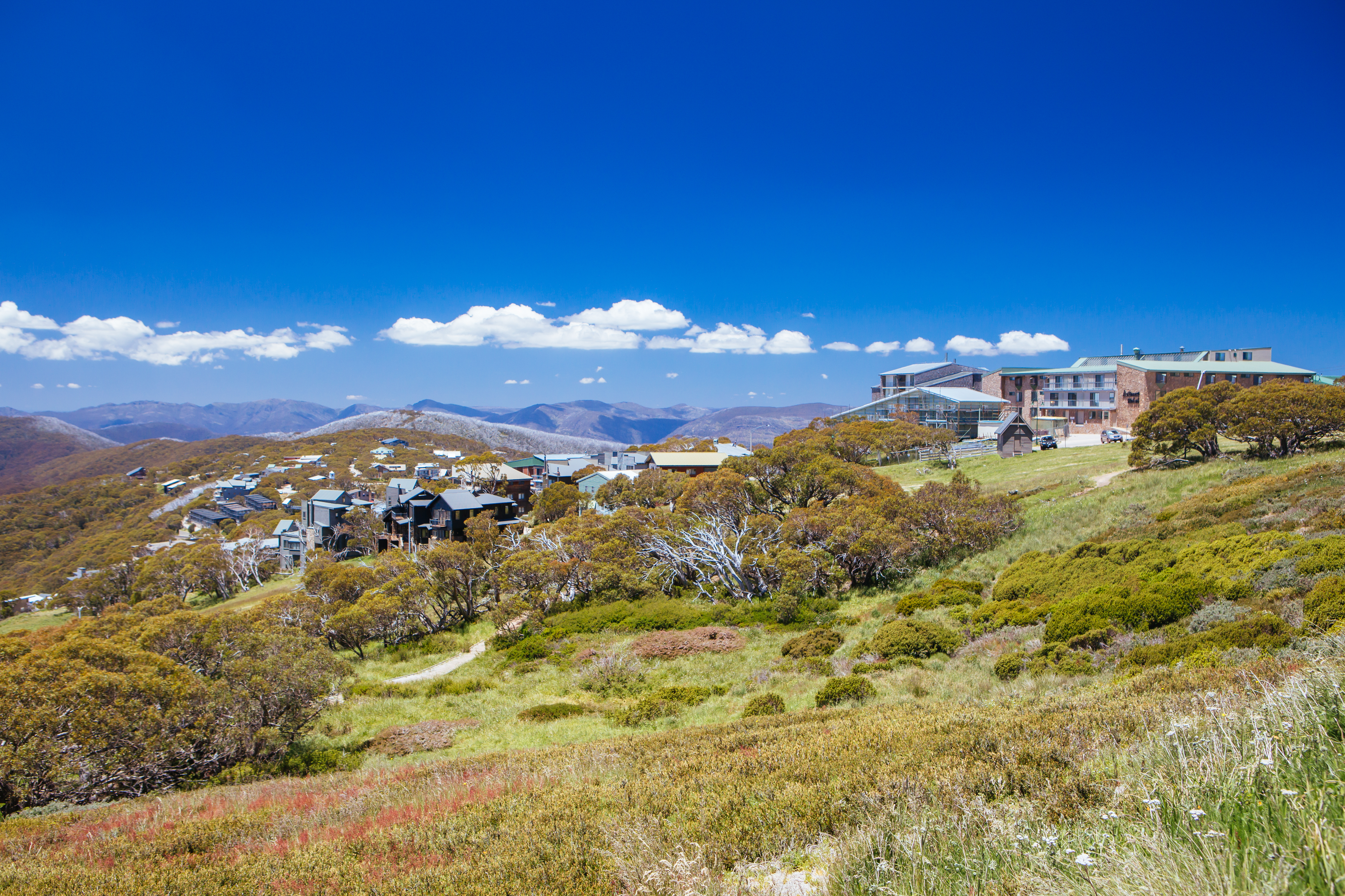 summer at mount buller